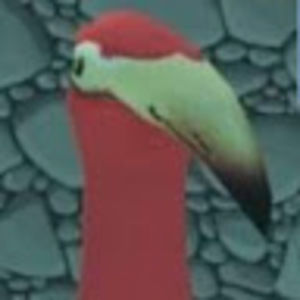 Meet your Posher, Ringotheflamingo